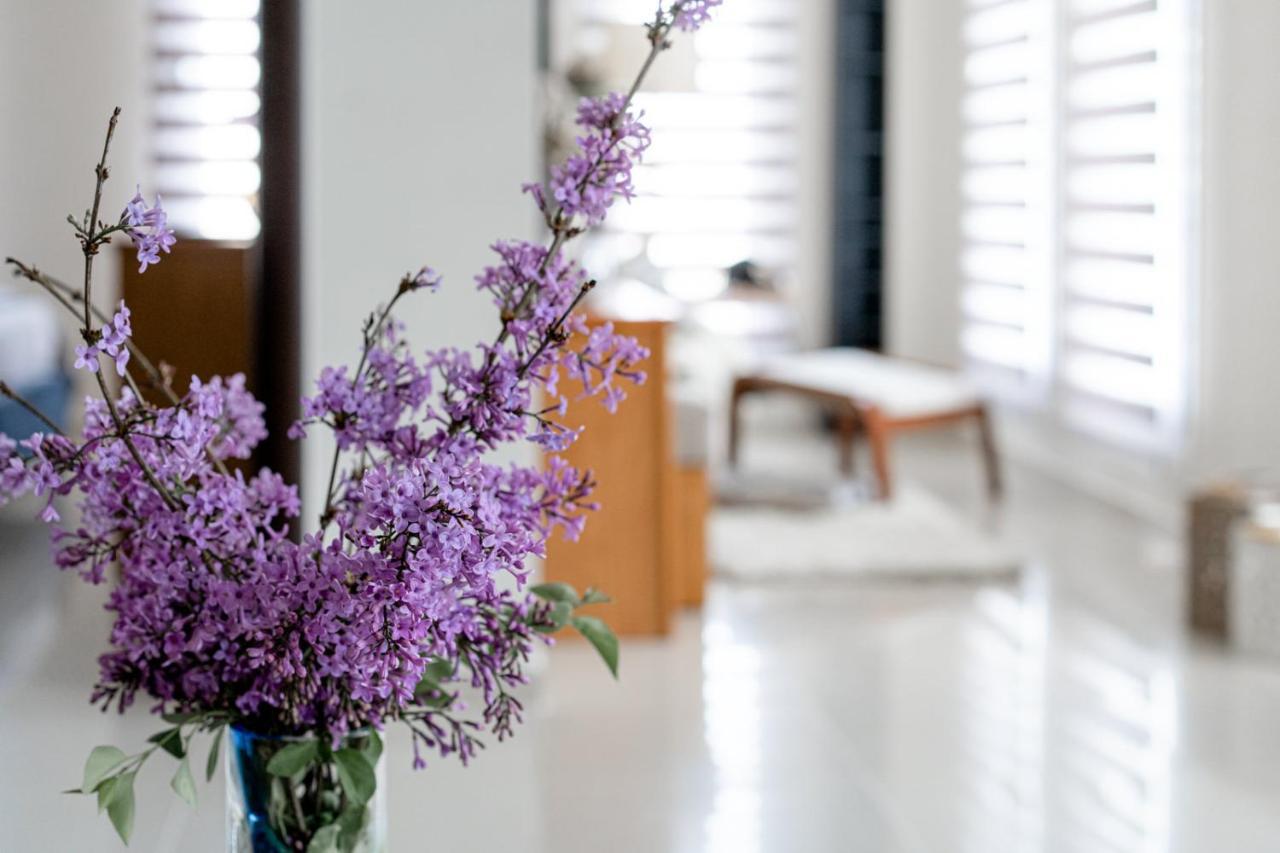 Apartment Panorama Luxury With Garden.